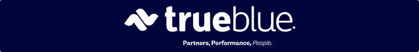 True Blue Chemicals Online Service Reports
